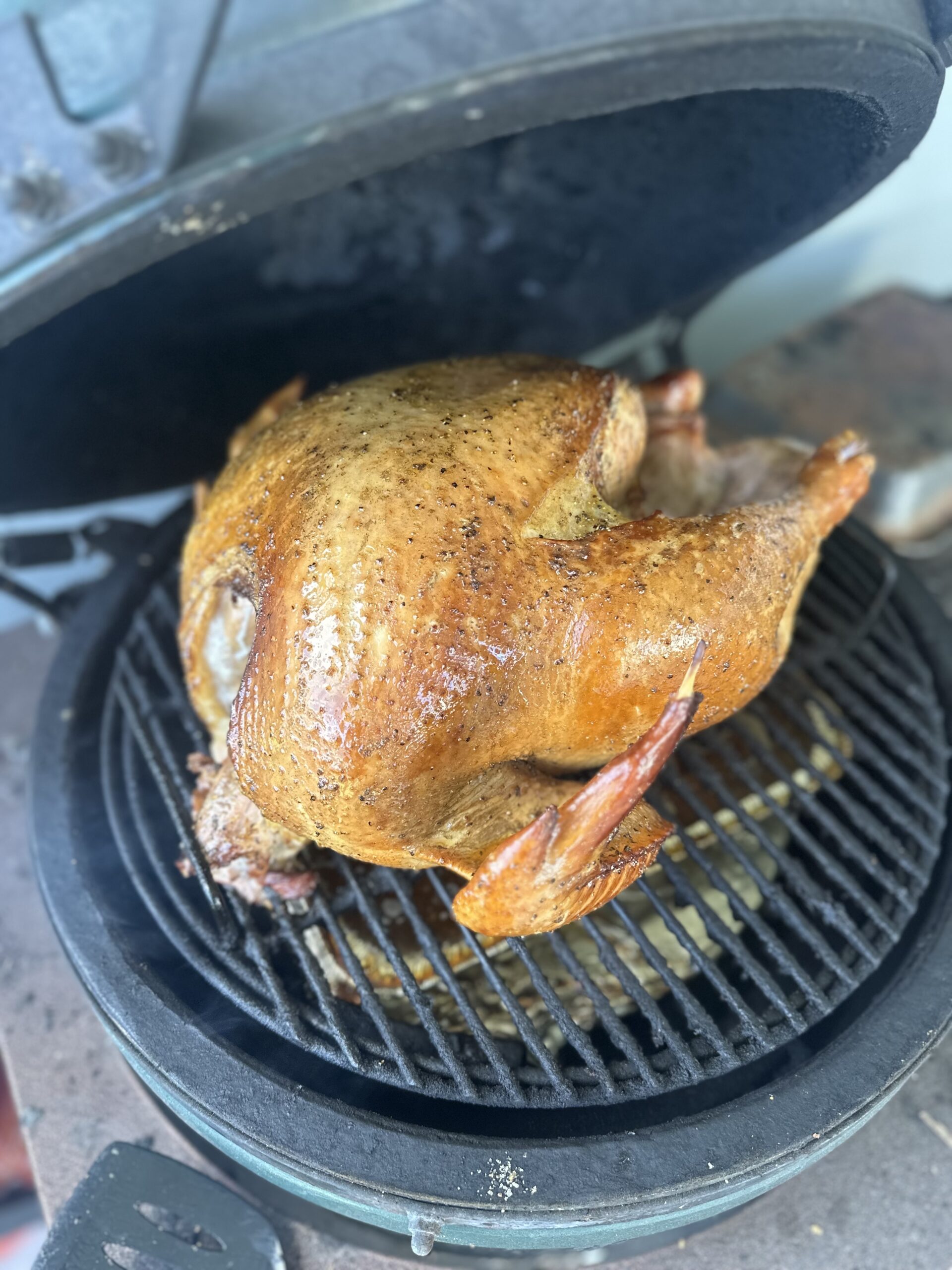 Brined Bird